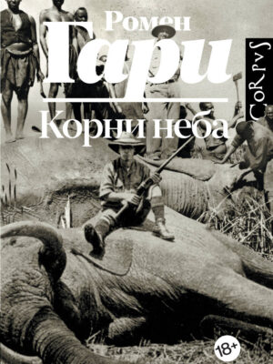 Корни неба